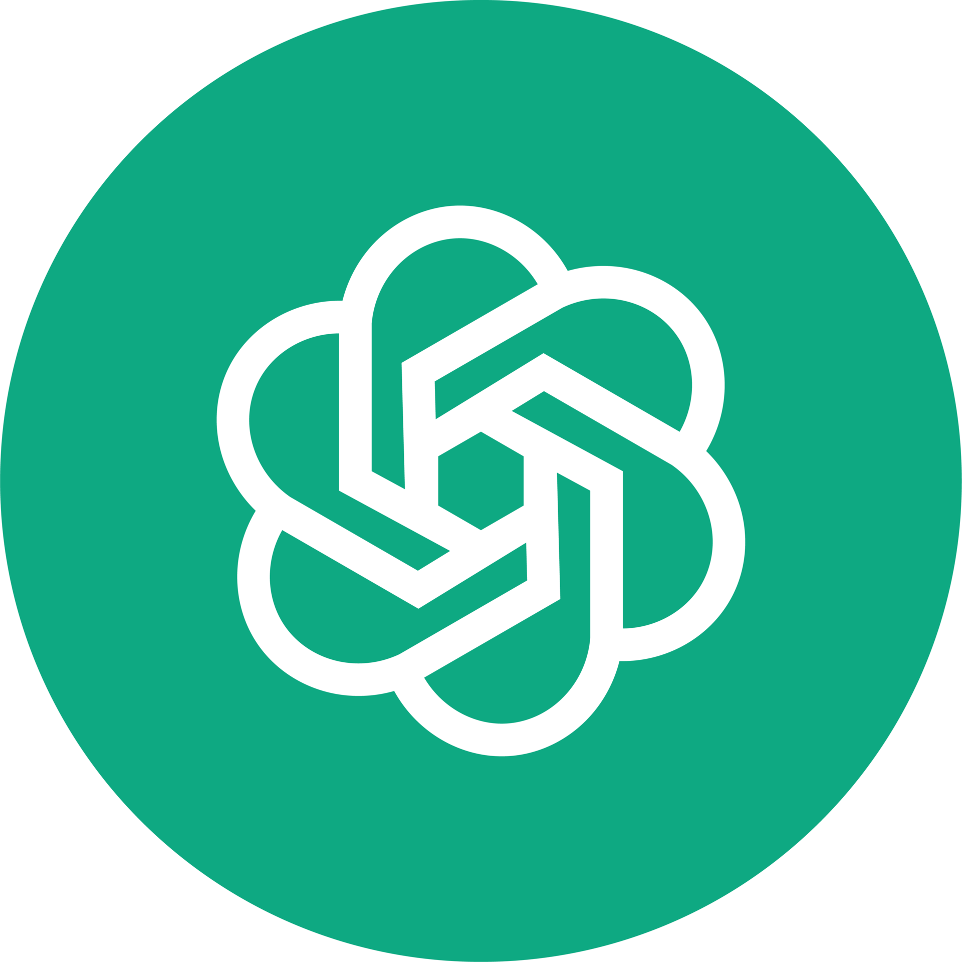 Capacitación ChatGPT Sr (Sr)